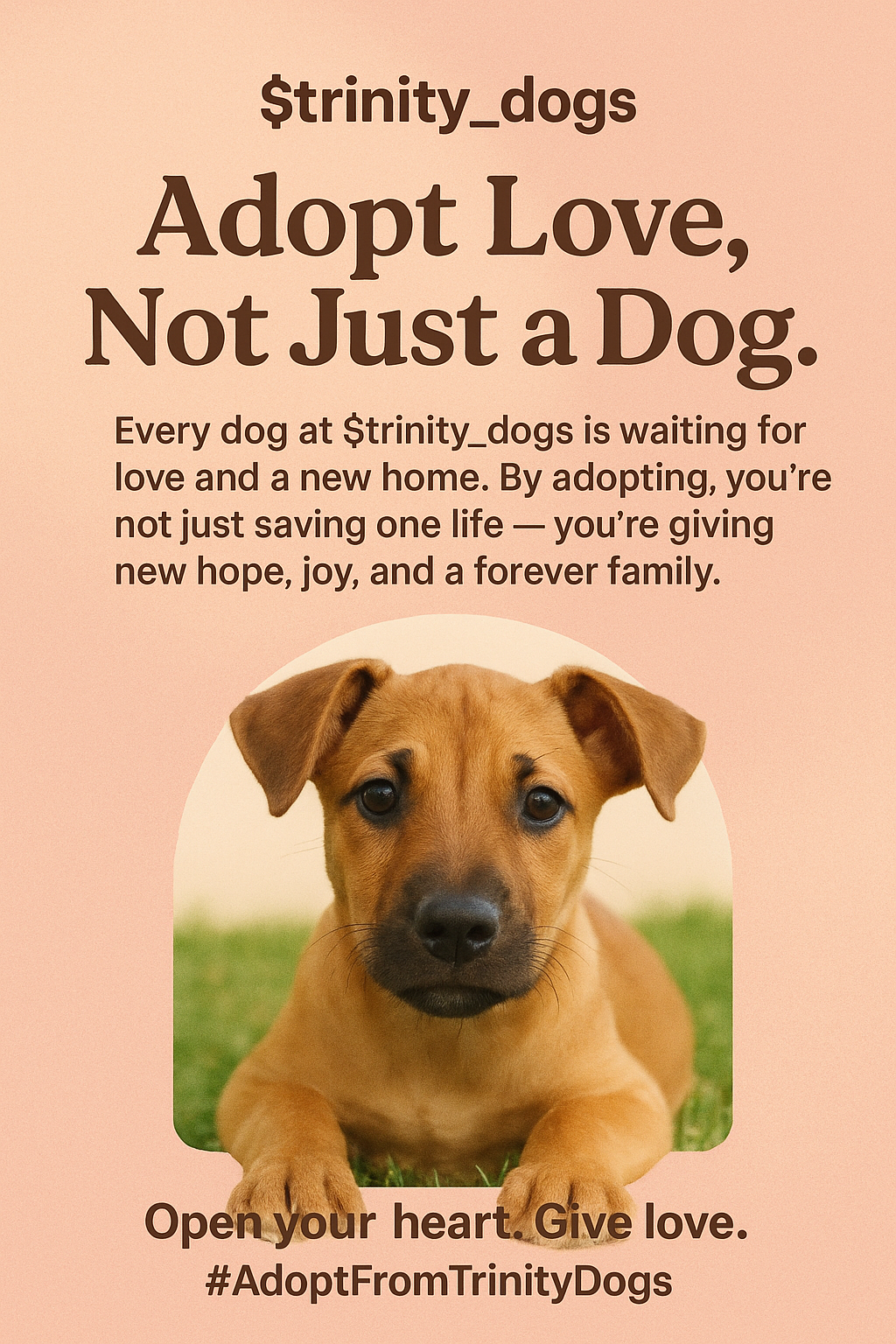 Trinity Dogs